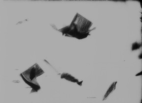 Kino-Pravda 15: Kino-Pravda 15