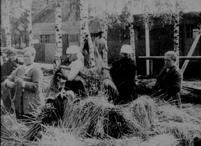 Kino-Pravda 17: Kino-Pravda 17