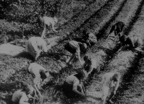 Kino-Pravda 20: Kino-Pravda 20