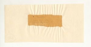 O Svilovoj (Über Svilova)