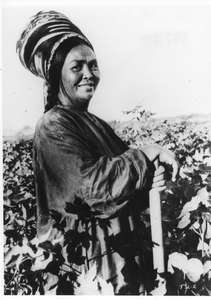 Frau im Feld stehend